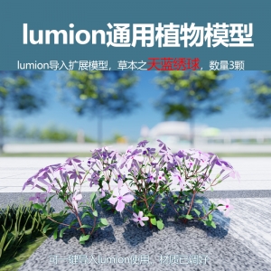 lumion中国草本植物模型天蓝绣球3颗