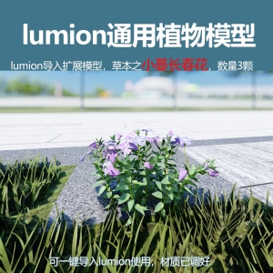 lumion中国草本植物模型小蔓长春花3颗