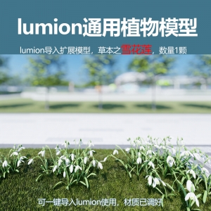 lumion中国草本植物模型雪花莲模型1颗