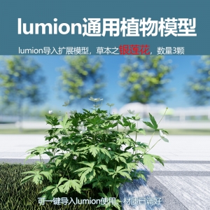 lumion中国草本植物银莲花模型3颗