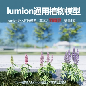 lumion中国草本植物羽扇豆模型1颗