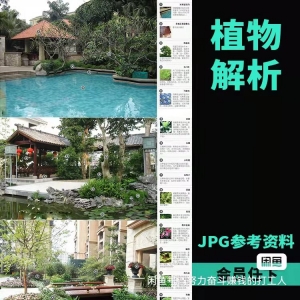 200多张植物配置解析