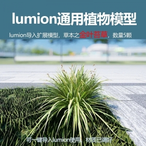 lumion中国草本植物模型金叶苔草模型3颗