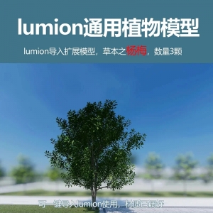 lumion中国果树模型杨梅3颗