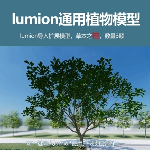 lumion中国果树模型柚子3颗