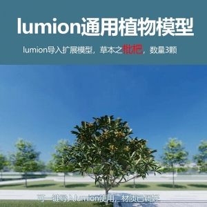 lumio中国果树模型琵琶3颗