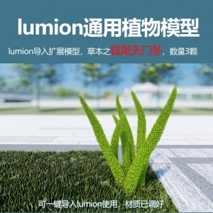 lumion中国草本植物模型狐尾天门冬3颗