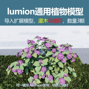 lumion灌木模型马樱丹3颗