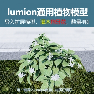 lumion灌木模型狗牙花4颗