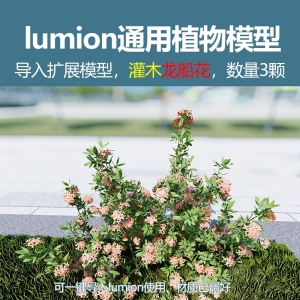 lumion灌木模型龙船花3颗