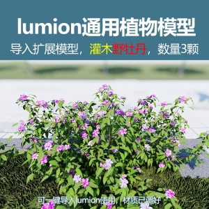lumion灌木模型野牡丹3颗