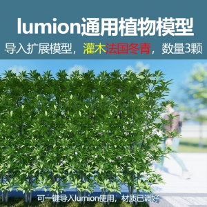 lumion灌木模型法国冬青3颗