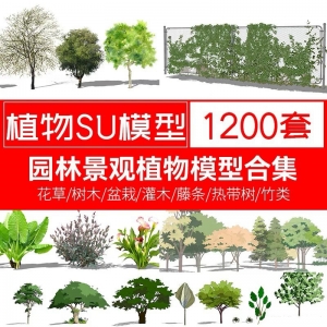 分类详细的SU植物模型大全