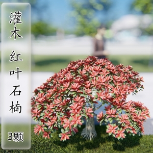 lumion灌木红叶石楠3颗
