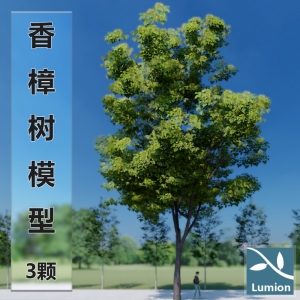 lumion香樟树模型带风动效果lumion10以下可用