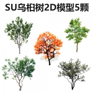 SU乌桕树2d模型5颗