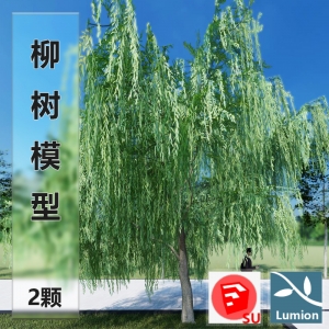 lumion柳树模型2颗