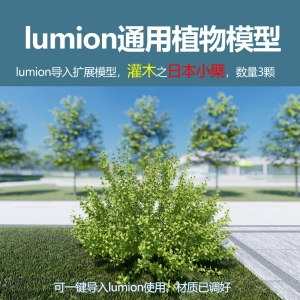 lumion灌木模型日本小檗