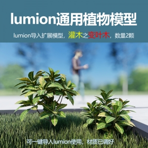 lumion灌木模型变叶木