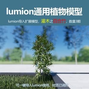 lumion灌木模型百合竹