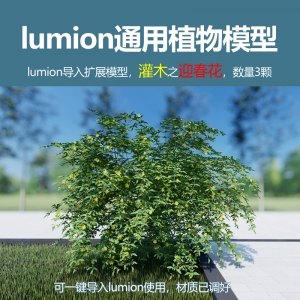 lumion灌木模型迎春花
