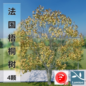 lumion法国梧桐树模型