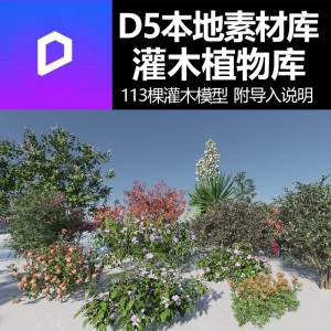 D5渲染器灌木植物模型本地素材库