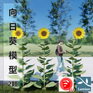 lumion向日葵模型2颗