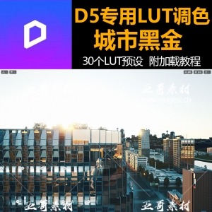 D5专用城市黑金特效LUT预设文件附预览图