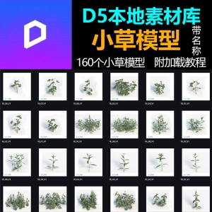 D5本地素材模型库小草模型160个