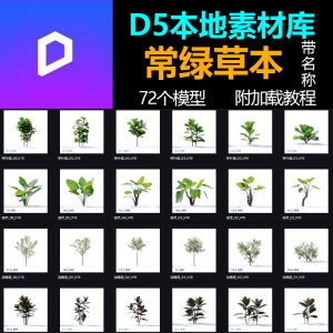 D5本地素材库常绿草本模型72个