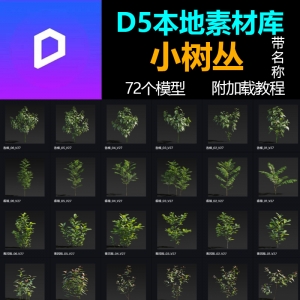 D5本地模型库小树丛72个