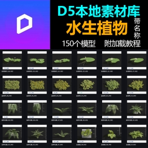 D5本地素材库水生植物模型150个