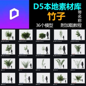 D5本地素材库竹子模型36个
