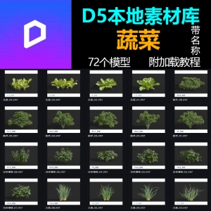 D5本地素材库蔬菜模型72个