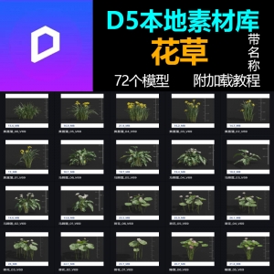 D5本地素材库花草模型72个