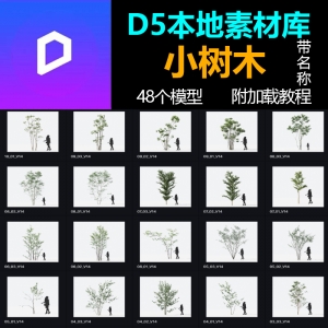 D5本地素材库小树木模型48个