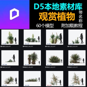 D5渲染器观赏植物模型库本地素材库