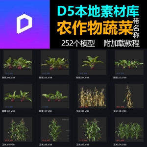 D5渲染器农作物蔬菜植物模型库本地素材库