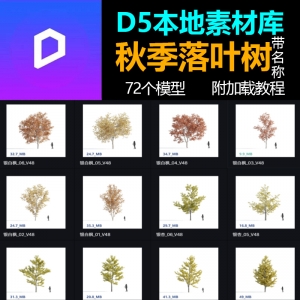 D5渲染器球机落叶乔木植物模型库本地素材库