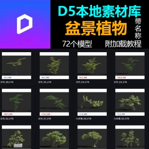 D5渲染器盆景植物模型库本地素材库