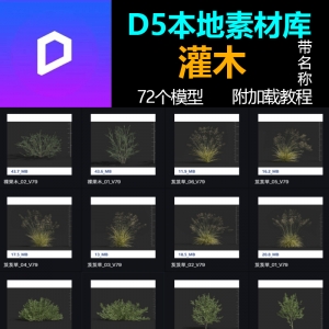 D5渲染器灌木植物模型库本地素材库