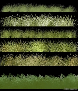 1500款景观植物云彩笔刷