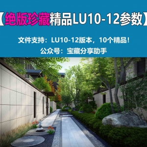 LUMION10类参数