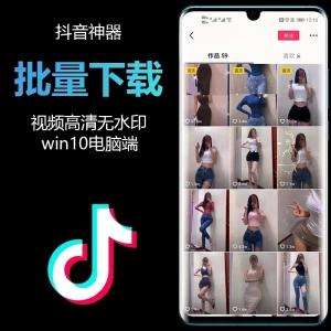 抖音视频批量无水印下载器