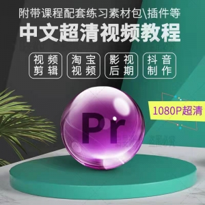 PR精选入门到精通视频教程