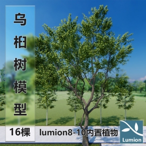 lumion8-10内置乌桕树模型16棵