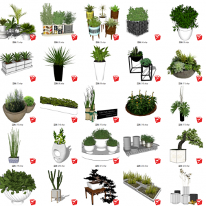 80个盆栽花瓶绿植SU模型