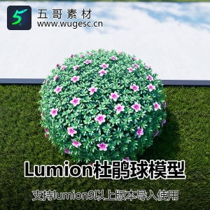 lumion8-10杜鹃球内置模型2棵