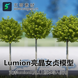 lumion亮晶女贞模型3棵造型亮晶女贞树乔木园林景观用植物模型库